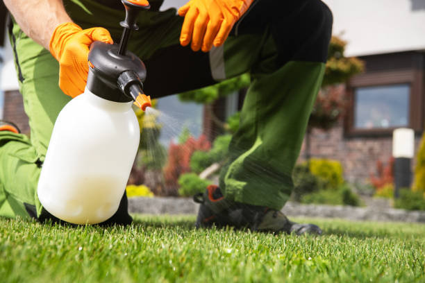 Best Wasp Removal Services  in Clyde, OH