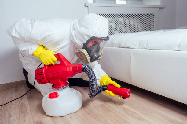 Best Affordable Pest Control Services  in Clyde, OH