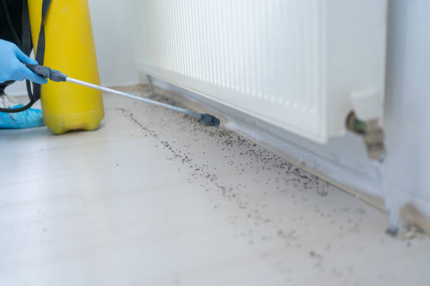 Best Best Pest Control Companies  in Clyde, OH